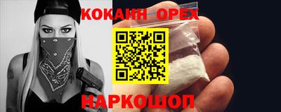 дмт Гай
