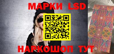 дмт Гай