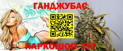 дмт Гай