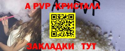 дмт Гай