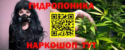 дмт Гай