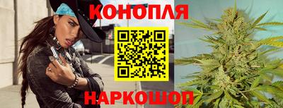 дмт Гай